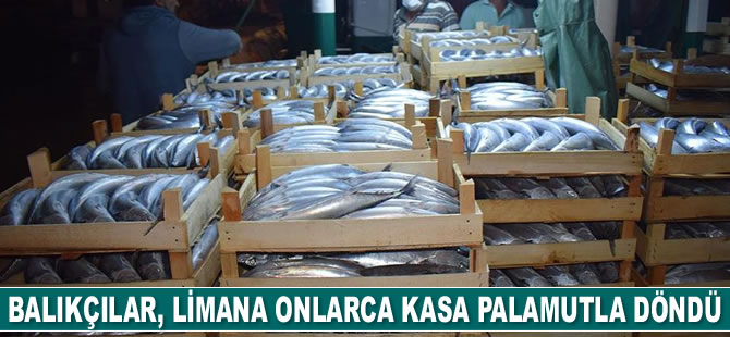 Balıkçılar, Akçakoca Limanı'na binlerce palamutla döndü