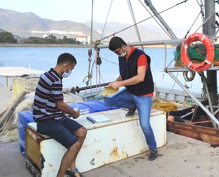 Mersin'de boy limitlerine uymayan balıklara el konuldu