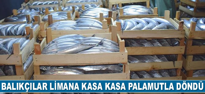Balıkçılar limana kasa kasa palamutla döndü
