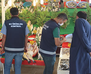 Van’da kapsamlı balık denetimi yapıldı