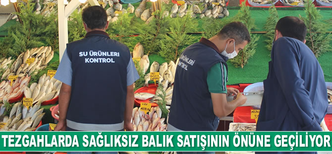 Van’da kapsamlı balık denetimi yapıldı