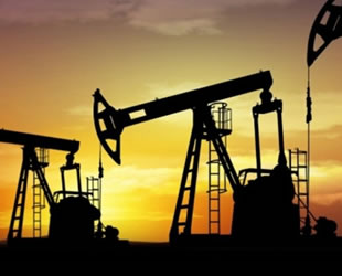 Vaka ve üretim artışı petrolü dizginleyecek