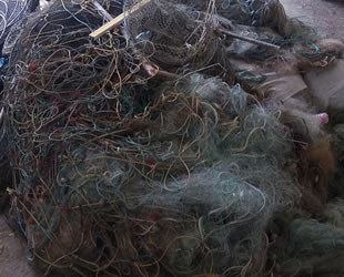 Kaçak balık avcılığı yapanlara 8 bin 800 TL para cezası kesildi