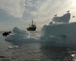 Buzların tarihte en çok eridiği yıllardan biri 2020 oldu