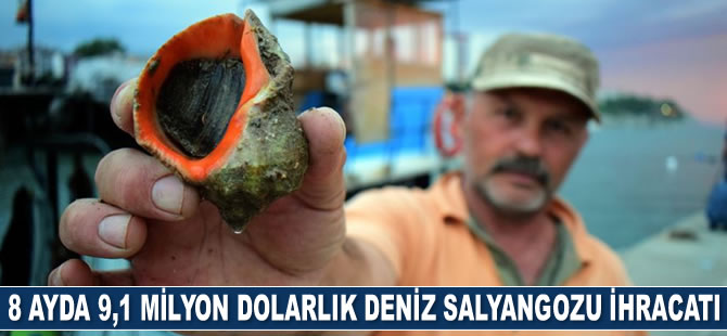 Türkiye'den 8 ayda 9,1 milyon dolarlık deniz salyangozu ihracatı yapıldı