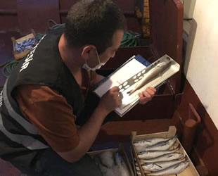 Erdek’te yasak tür ve balık boyu denetimi yapıldı