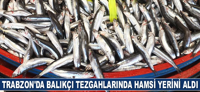 Trabzon'da hamsi tezgâhtaki yerini aldı