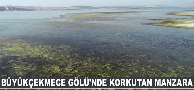 Büyükçekmece Gölü’ndeki kuraklık tabiatın da dengesini bozmaya başladı