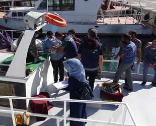 Van Gölü’nün karaya çıkış noktalarında balıkçı denetimi yapıldı