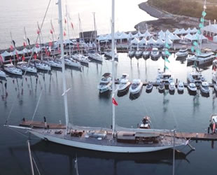 Koronavirüs ‘aile tipi’ tekneye ilgiyi artırdı