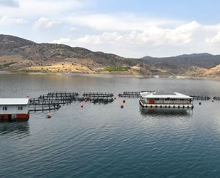 Malatya'dan 11 ülkeye balık ihracatı yapılıyor