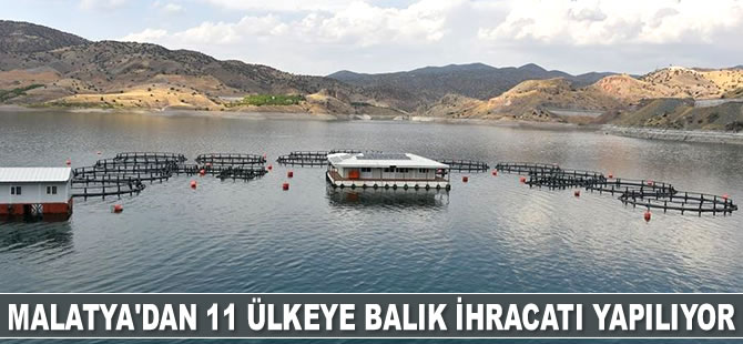 Malatya'dan 11 ülkeye balık ihracatı yapılıyor