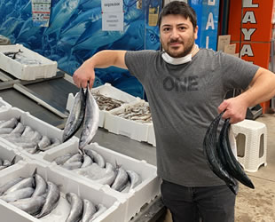 Karadeniz'de balıkçıların yüzünü palamut güldürdü