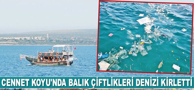 Cennet Koyu’nda balık çiftlikleri denizi kirletti