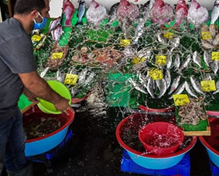 Havaların soğumaması balık fiyatlarını yükseltiyor