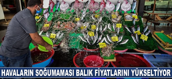 Havaların soğumaması balık fiyatlarını yükseltiyor
