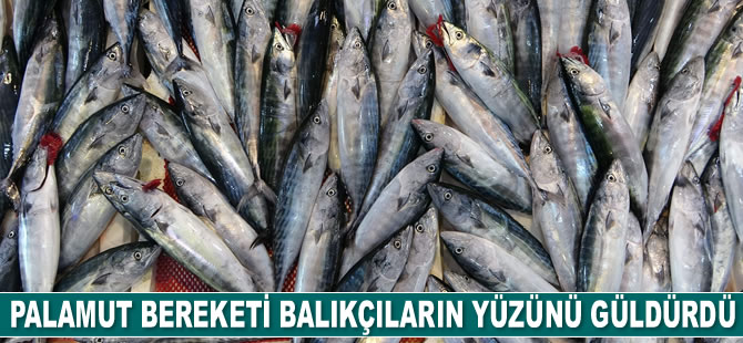 Palamut bereketi balıkçıların yüzünü güldürdü