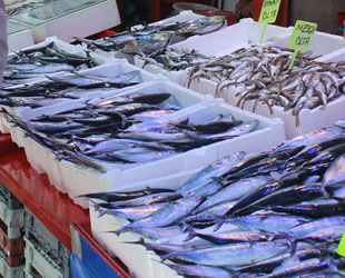 Denizlerdeki bolluk, balıkçı tezgahlarını şenlendiriyor