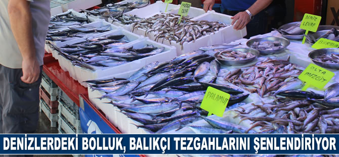 Denizlerdeki bolluk, balıkçı tezgahlarını şenlendiriyor
