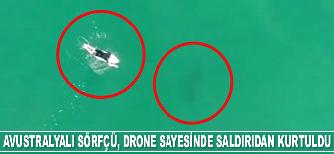 Avustralyalı sörfçü drone sayesinde köpek balığı saldırısından kurtuldu
