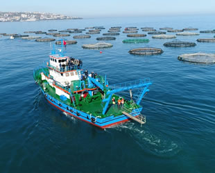 Trabzonlu kültür balığı yetiştiricileri destek bekliyor