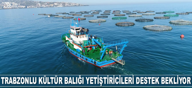 Trabzonlu kültür balığı yetiştiricileri destek bekliyor