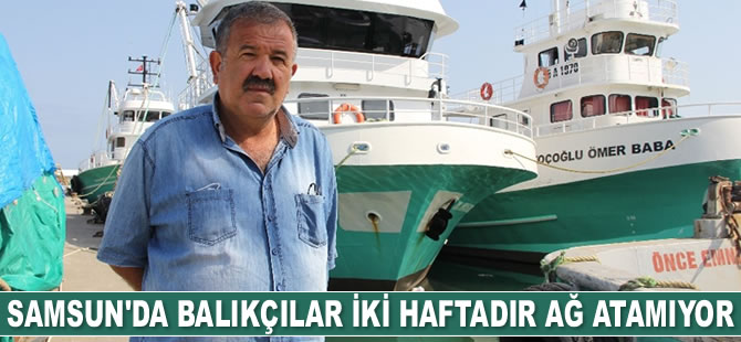 Samsun’da balıkçılar 2 haftadır ağ atamıyor