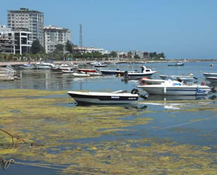 Kurupelit Yat Limanı’nda dolgudan vazgeçildi