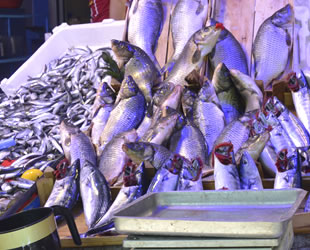 Havaların serinlemesiyle balık satışları arttı