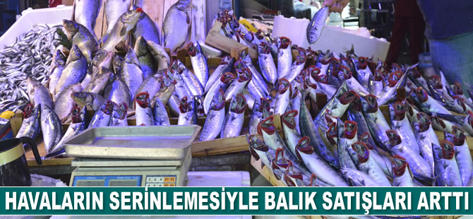 Havaların serinlemesiyle balık satışları arttı