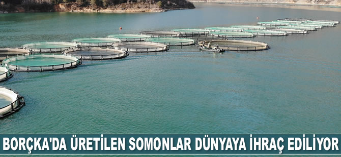 Borçka Barajı'nda üretilen Türk somonları dünyaya ihraç ediliyor