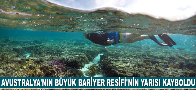 Avustralya'nın Büyük Bariyer Resifi'nin yarısı kayboldu