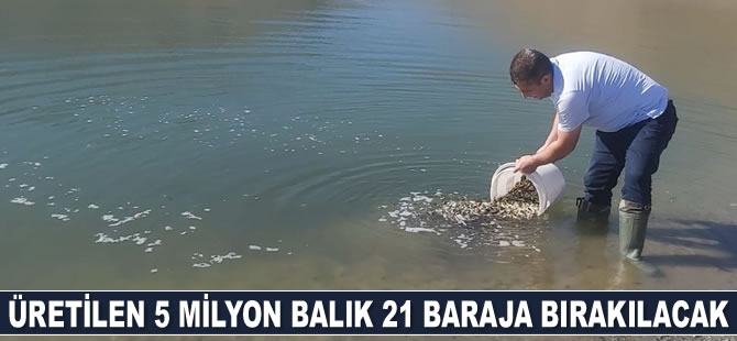 Elazığ'da üretilen 5 milyon balık 21 baraja bırakılacak