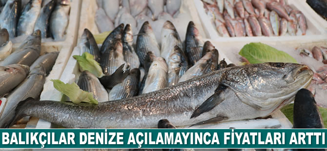 Balıkçılar denize açılamayınca balık fiyatları arttı