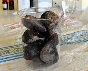 Palamut ve alabalık atıklarını protein tozuna dönüştürdüler