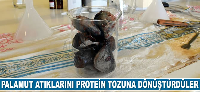 Palamut ve alabalık atıklarını protein tozuna dönüştürdüler