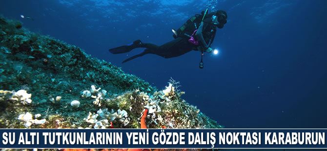 Su altı tutkunlarının yeni gözde dalış noktası Karaburun oldu