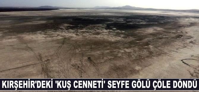 ‘Kuş cenneti’ Seyfe Gölü çöle döndü