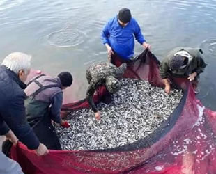 İznik Gölü’nde gümüş balığı sezonu kapanıyor