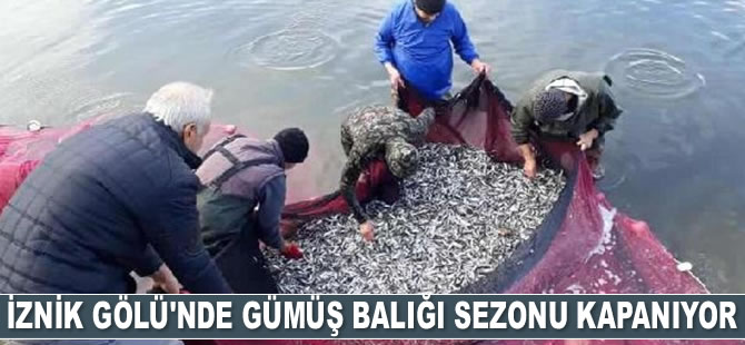 İznik Gölü’nde gümüş balığı sezonu kapanıyor