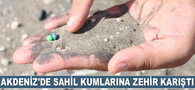 Akdeniz’de sahil kumlarına zehir karıştı