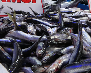 Balıklar, talebi karşılayamayınca fiyatlar artıyor