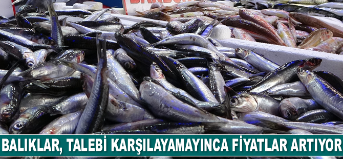 Balıklar, talebi karşılayamayınca fiyatlar artıyor