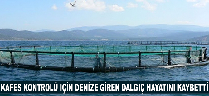 Didim'de kafes kontrolü için denize giren dalgıç hayatını kaybetti
