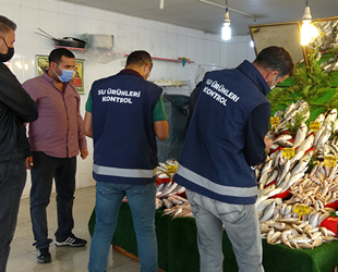 Van’daki balıkçılar sıkı denetimden geçti