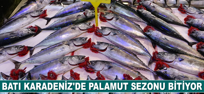 Batı Karadeniz'de palamut sezonu bitiyor