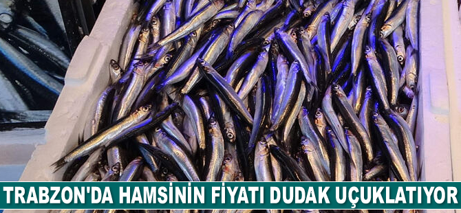 Hamsinin fiyatı dudak uçuklatıyor