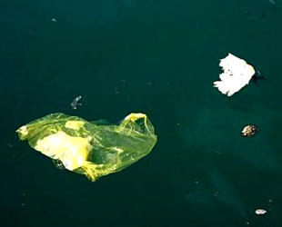 Deniz çöpleri ve mikroplastik kirliliği için çalışma başlatıldı