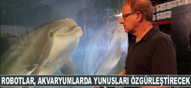 Robotlar, havuz ve akvaryumlarda yunusları özgürleştirecek