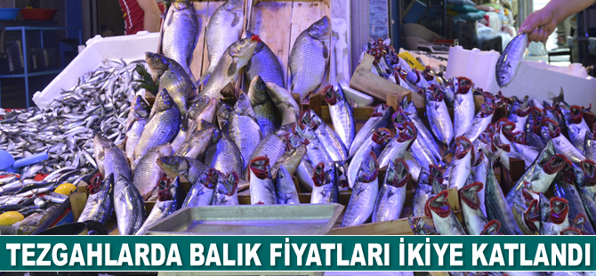 Balık fiyatları tezgahlarda ikiye katlandı